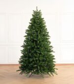 Árbol de Navidad Fraser Fir - Imagen 2